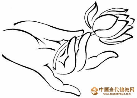 暂无图片